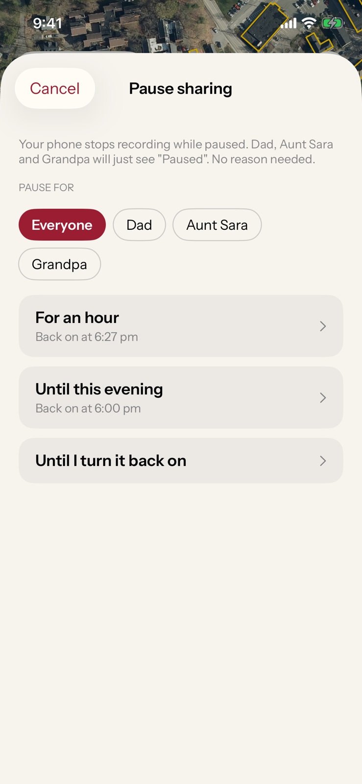 The Pause sheet: choose everyone or one person, then for an hour, until this evening, or until turned back on.